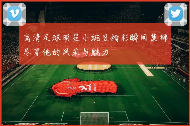 高清足球明星小豌豆精彩瞬间集锦尽享他的风采与魅力