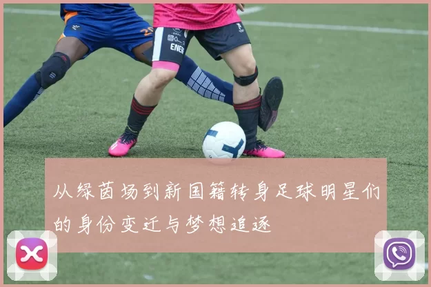 从绿茵场到新国籍转身足球明星们的身份变迁与梦想追逐