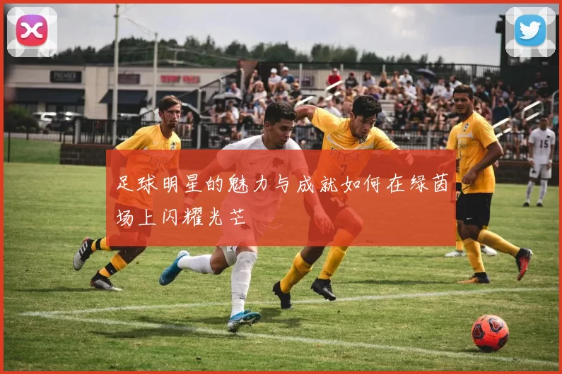 足球明星的魅力与成就如何在绿茵场上闪耀光芒