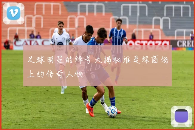 足球明星的绰号大揭秘谁是绿茵场上的传奇人物
