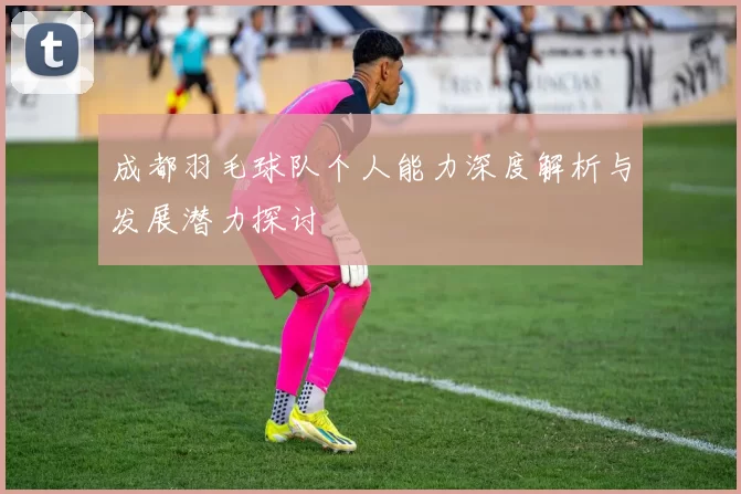 成都羽毛球队个人能力深度解析与发展潜力探讨