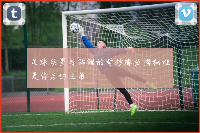 足球明星与锦鲤的奇妙缘分揭秘谁是背后的主角