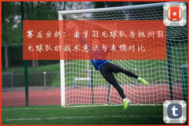 赛后分析：南京羽毛球队与杭州羽毛球队的战术意识与表现对比