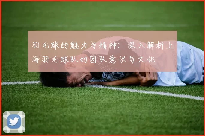 羽毛球的魅力与精神：深入解析上海羽毛球队的团队意识与文化