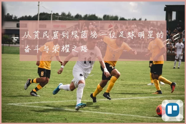 从贫民窟到绿茵场一位足球明星的奋斗与荣耀之路