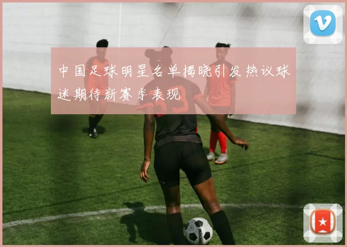 中国足球明星名单揭晓引发热议球迷期待新赛季表现