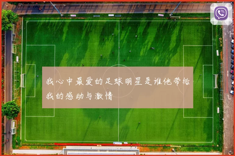 我心中最爱的足球明星是谁他带给我的感动与激情