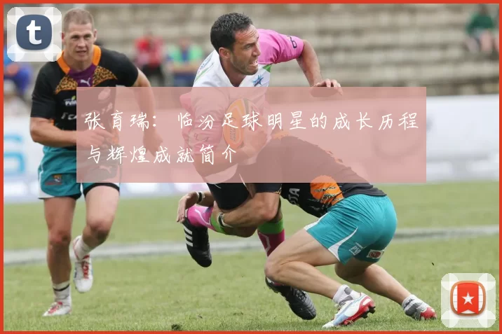 张育瑞：临汾足球明星的成长历程与辉煌成就简介